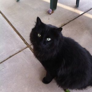 Meet your Posher, Sally